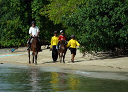 Phuket Horse Riding