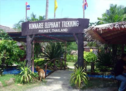 Kinaree House Elephant Trekking