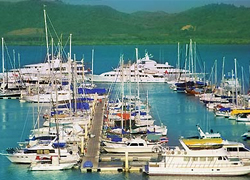 Yacht Haven Marina