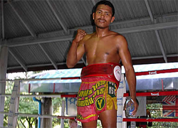 Phuket Muay Thai Gym And Camp