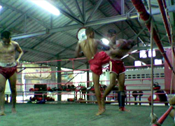 Muay Thai Boxing Gym at Suwit Stadium