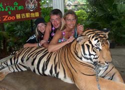 PHUKET ZOO