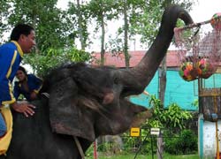 PHUKET ZOO